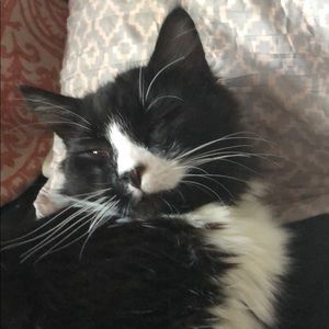 Meet your Posher, Ally